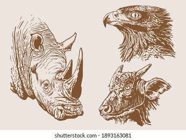 Sepia set of  wild  african animals , vector illustration