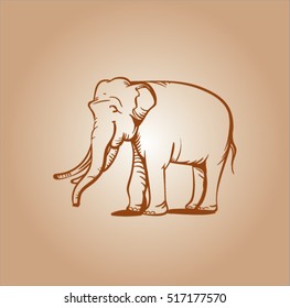 sepia vector sketch of elephant
