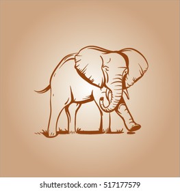 sepia vector sketch of elephant. 
logo or label with an elephant figure. engraved elephant.