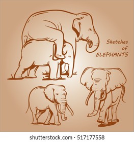 sepia vector sketch of elephants. logo or label with an elephant figure. engraved set of elephants. 