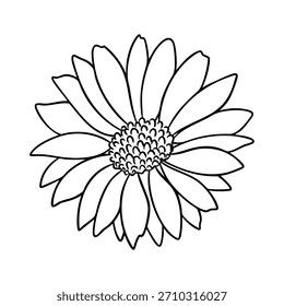 Septiembre Birth Flower Aster, Vector de arte de línea, ilustración botánica en blanco y negro, boceto floral elegante, dibujo de contorno minimalista, diseño de flores monocromáticas dibujadas a mano, estilo de tatuaje
