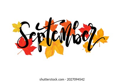 September greeting card template. Autumn leave with September lettering. Red orange and yellow leave  in autumn season in vector illustrative