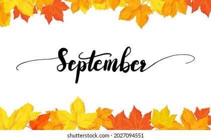 September greeting card template. Autumn leave with September lettering. Red orange and yellow leave  in autumn season in vector illustrative