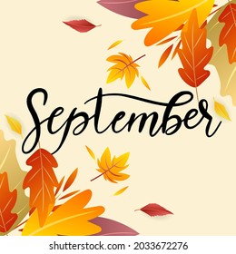 September hand drawing calligraphy with leaf in Autumn, frame leaf for content online or web, banner and template, Simple cartoon flat style. illustration Vector EPS 10
