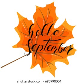 September hello, hand lettering, quotes. Modern motivation calligraphy, typography for the poster, invitations, greeting cards. Vector design lettering