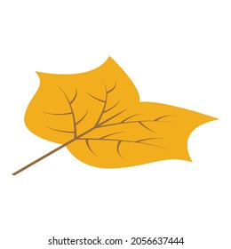 September leaf icon. Isometric of september leaf vector icon for web design isolated on white background