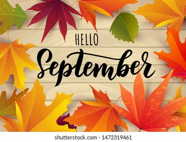 September text. Lettering typography. Vector illustration as poster, postcard, greeting card, invitation template. Concept September advertising