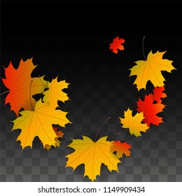 September Vector Background with Golden Falling Leaves. Autumn Illustration with Maple Red, Orange, Yellow Foliage. Isolated Leaf on Transparent Background. Bright Swirl. Suitable for Banners.