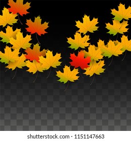 September Vector Background with Golden Falling Leaves. Autumn Illustration with Maple Red, Orange, Yellow Foliage. Isolated Leaf on Transparent Background. Bright Swirl. Suitable for Flyers.