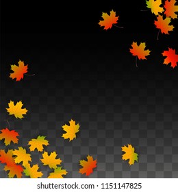 September Vector Background with Golden Falling Leaves. Autumn Illustration with Maple Red, Orange, Yellow Foliage. Isolated Leaf on Transparent Background. Bright Swirl. Suitable for Posters.