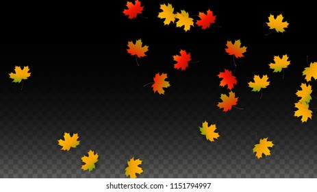 September Vector Background with Golden Falling Leaves. Autumn Illustration with Maple Red, Orange, Yellow Foliage. Isolated Leaf on Transparent Background. Bright Swirl. Suitable for Flyers.
