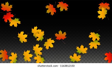 September Vector Background Golden Falling Leaves Stock Vector (Royalty ...