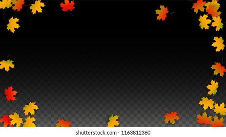 September Vector Background with Golden Falling Leaves. Autumn Illustration with Maple Red, Orange, Yellow Foliage. Isolated Leaf on Transparent Background. Bright Swirl. Suitable for Posters.
