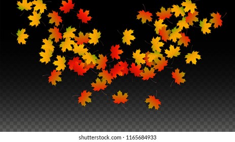 September Vector Background Golden Falling Leaves Stock Vector (Royalty ...