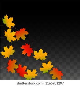September Vector Background with Golden Falling Leaves. Autumn Illustration with Maple Red, Orange, Yellow Foliage. Isolated Leaf on Transparent Background. Bright Swirl. Suitable for Cards.