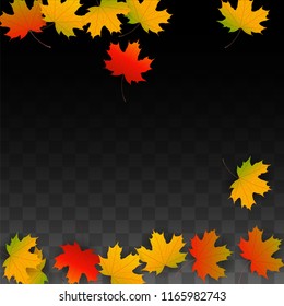 September Vector Background with Golden Falling Leaves. Autumn Illustration with Maple Red, Orange, Yellow Foliage. Isolated Leaf on Transparent Background. Bright Swirl. Suitable for Posters.