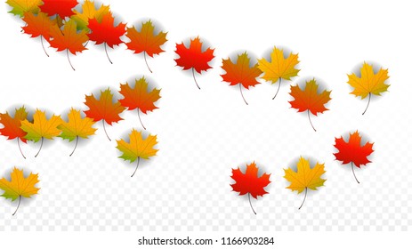 September Vector Background with Golden Falling Leaves. Autumn Illustration with Maple Red, Orange, Yellow Foliage. Isolated Leaf on Transparent Background. Bright Swirl. Suitable for Flyers.