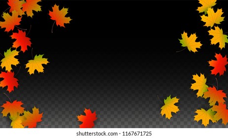 September Vector Background with Golden Falling Leaves. Autumn Illustration with Maple Red, Orange, Yellow Foliage. Isolated Leaf on Transparent Background. Bright Swirl. Suitable for Flyers.