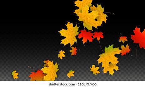 September Vector Background with Golden Falling Leaves. Autumn Illustration with Maple Red, Orange, Yellow Foliage. Isolated Leaf on Transparent Background. Bright Swirl. Suitable for Cards.