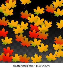 September Vector Background with Golden Falling Leaves. Autumn Illustration with Maple Red, Orange, Yellow Foliage. Isolated Leaf on Transparent Background. Bright Swirl. Suitable for Cards.
