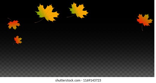 September Vector Background with Golden Falling Leaves. Autumn Illustration with Maple Red, Orange, Yellow Foliage. Isolated Leaf on Transparent Background. Bright Swirl. Suitable for Covers.