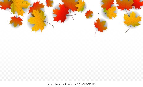 September Vector Background with Golden Falling Leaves. Autumn Illustration with Maple Red, Orange, Yellow Foliage. Isolated Leaf on Transparent Background. Bright Swirl. Suitable for Posters.