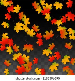 September Vector Background with Golden Falling Leaves. Autumn Illustration with Maple Red, Orange, Yellow Foliage. Isolated Leaf on Transparent Background. Bright Swirl. Suitable for Cards.