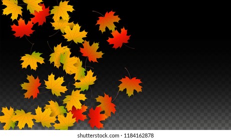 September Vector Background with Golden Falling Leaves. Autumn Illustration with Maple Red, Orange, Yellow Foliage. Isolated Leaf on Transparent Background. Bright Swirl. Suitable for Covers.
