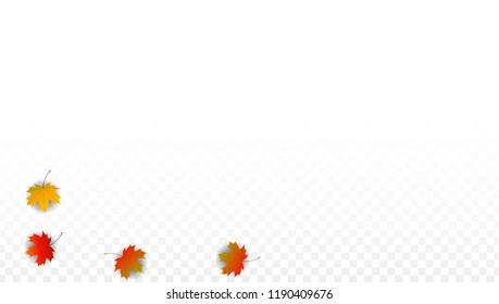 September Vector Background with Golden Falling Leaves. Autumn Illustration with Maple Red, Orange, Yellow Foliage. Isolated Leaf on Transparent Background. Bright Swirl. Suitable for Covers.