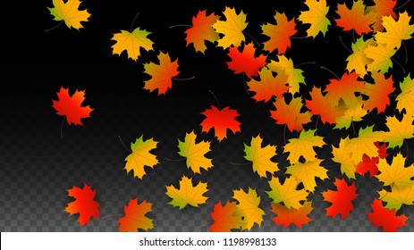 September Vector Background Golden Falling Leaves Stock Vector (Royalty ...