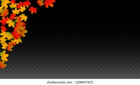 September Vector Background with Golden Falling Leaves. Autumn Illustration with Maple Red, Orange, Yellow Foliage. Isolated Leaf on Transparent Background. Bright Swirl. Suitable for Flyers.