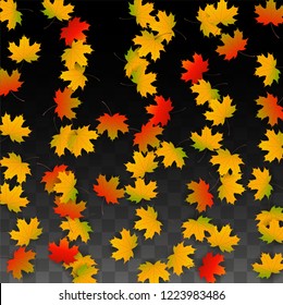 September Vector Background with Golden Falling Leaves. Autumn Illustration with Maple Red, Orange, Yellow Foliage. Isolated Leaf on Transparent Background. Bright Swirl. Suitable for Banners.