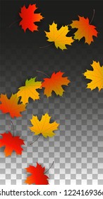 September Vector Background with Golden Falling Leaves. Autumn Illustration with Maple Red, Orange, Yellow Foliage. Isolated Leaf on Transparent Background. Bright Swirl. Suitable for Flyers.