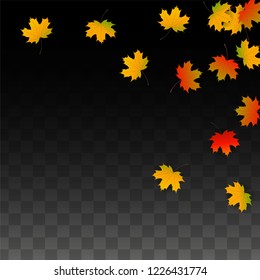 September Vector Background with Golden Falling Leaves. Autumn Illustration with Maple Red, Orange, Yellow Foliage. Isolated Leaf on Transparent Background. Bright Swirl. Suitable for Cards.