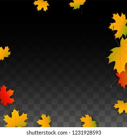 September Vector Background with Golden Falling Leaves. Autumn Illustration with Maple Red, Orange, Yellow Foliage. Isolated Leaf on Transparent Background. Bright Swirl. Suitable for Banners.