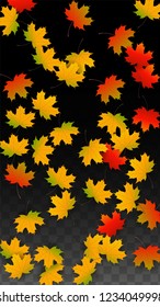 September Vector Background with Golden Falling Leaves. Autumn Illustration with Maple Red, Orange, Yellow Foliage. Isolated Leaf on Transparent Background. Bright Swirl. Suitable for Posters.