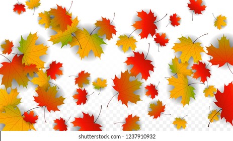September Vector Background with Golden Falling Leaves. Autumn Illustration with Maple Red, Orange, Yellow Foliage. Isolated Leaf on Transparent Background. Bright Swirl. Suitable for Cards.