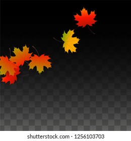 September Vector Background with Golden Falling Leaves. Autumn Illustration with Maple Red, Orange, Yellow Foliage. Isolated Leaf on Transparent Background. Bright Swirl. Suitable for Cards.