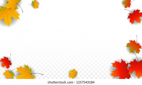 September Vector Background with Golden Falling Leaves. Autumn Illustration with Maple Red, Orange, Yellow Foliage. Isolated Leaf on Transparent Background. Bright Swirl. Suitable for Flyers.