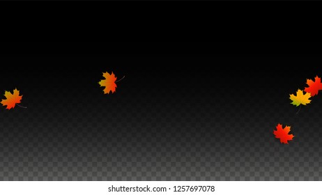 September Vector Background with Golden Falling Leaves. Autumn Illustration with Maple Red, Orange, Yellow Foliage. Isolated Leaf on Transparent Background. Bright Swirl. Suitable for Banners.