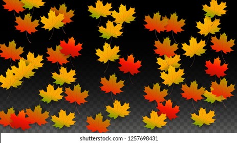 September Vector Background with Golden Falling Leaves. Autumn Illustration with Maple Red, Orange, Yellow Foliage. Isolated Leaf on Transparent Background. Bright Swirl. Suitable for Flyers.