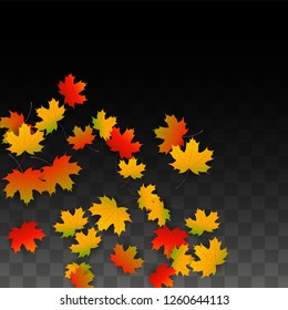 September Vector Background with Golden Falling Leaves. Autumn Illustration with Maple Red, Orange, Yellow Foliage. Isolated Leaf on Transparent Background. Bright Swirl. Suitable for Flyers.
