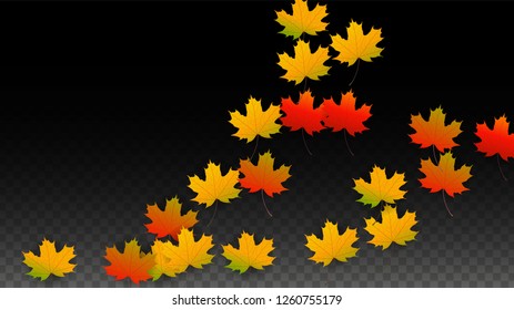 September Vector Background with Golden Falling Leaves. Autumn Illustration with Maple Red, Orange, Yellow Foliage. Isolated Leaf on Transparent Background. Bright Swirl. Suitable for Flyers.