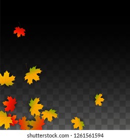 September Vector Background with Golden Falling Leaves. Autumn Illustration with Maple Red, Orange, Yellow Foliage. Isolated Leaf on Transparent Background. Bright Swirl. Suitable for Flyers.
