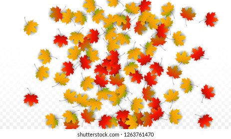 September Vector Background with Golden Falling Leaves. Autumn Illustration with Maple Red, Orange, Yellow Foliage. Isolated Leaf on Transparent Background. Bright Swirl. Suitable for Flyers.