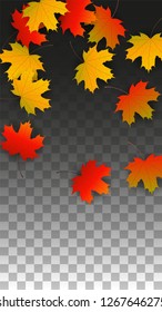 September Vector Background with Golden Falling Leaves. Autumn Illustration with Maple Red, Orange, Yellow Foliage. Isolated Leaf on Transparent Background. Bright Swirl. Suitable for Flyers.