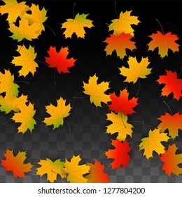 September Vector Background with Golden Falling Leaves. Autumn Illustration with Maple Red, Orange, Yellow Foliage. Isolated Leaf on Transparent Background. Bright Swirl. Suitable for Cards.