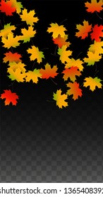 September Vector Background with Golden Falling Leaves. Autumn Illustration with Maple Red, Orange, Yellow Foliage. Isolated Leaf on Transparent Background. Bright Swirl. Suitable for Banners.