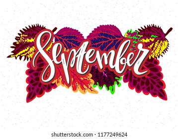 September - vector illustration with handdrawn lettering as card, poster, flyer, t-shirt print