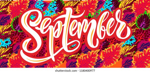 September - vector illustration with handdrawn lettering as card, poster, flyer, t-shirt print